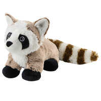Waschbär