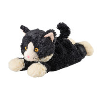 Katze liegend