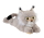 Luchs