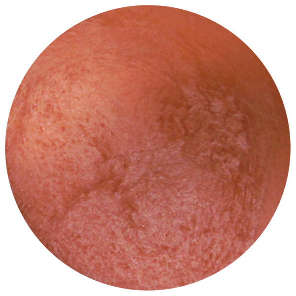 IKOS Teint - Egyptische Erde mediterran - 3g